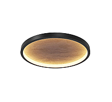 Потолочный светильник Maytoni Orign MOD311CL-L40B3K
