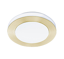 Потолочный светильник Eglo Led Carpi 900369
