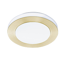 Потолочный светильник Eglo Led Carpi 900369