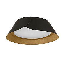 Потолочный светильник Loft IT Lane 10370 Black