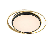 Потолочная люстра Arte Lamp Albireo A2658PL-58BK