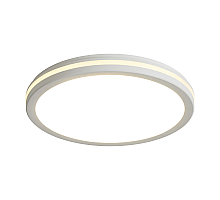 Потолочный светильник Freya Rua FR6160CL-L40W