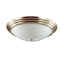 Настенно-потолочный светильник Lumion Vintage 5262/3C