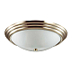 Настенно-потолочный светильник Lumion Vintage Kayla 5262/3C