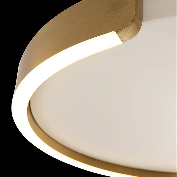Потолочный светодиодный светильник Loft It Ring 10026