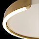 Потолочный светодиодный светильник Loft It Ring 10026