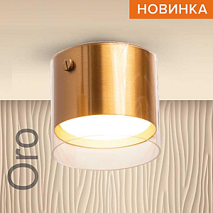 Накладной светильник Wolta Oro WSL-GX53/07G