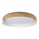 Потолочный светодиодный светильник Loft IT Coin 10198 White