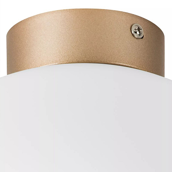 Потолочный светильник Lightstar Globo 812033