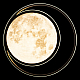 Потолочный светодиодный светильник Loft IT Luna 10217