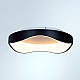 Потолочный светодиодный светильник Arte Lamp Ankaa A3085PL-48BK