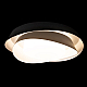 Потолочный светильник Loft IT Petale 10256 Black