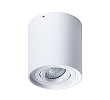 Потолочный светильник Arte Lamp Falcon A5645PL-1WH