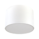 Потолочный светильник LightHall Camerona 45 LH022013