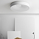 Потолочный светильник ImperiumLoft Ecla 101547-26