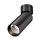 Потолочный светильник Maytoni Technical C055CL-L12W2.7K-SS-B