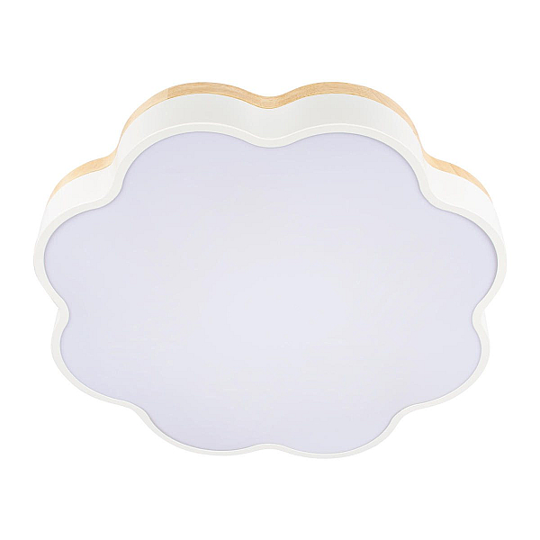 Потолочный светодиодный светильник Loft IT Axel 10225/36 White