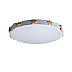 Потолочный светодиодный светильник Loft IT Axel 10006/36 white