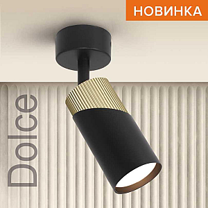 Спот Wolta Dolce WSL-GU10/S06BG