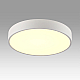 Светильник Sonex Mitra Led 7755/48L
