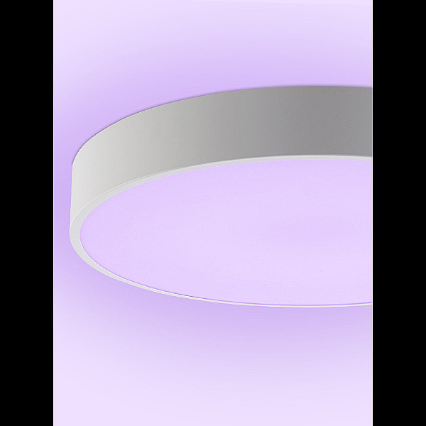 Потолочный светильник Natali Kovaltseva Modern LED LAMPS 81105/2C