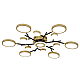 Потолочный светодиодный светильник F-Promo Hybrid 4686-13C
