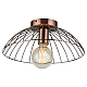 Потолочный светильник Lussole Loft Brooks GRLSP-8249