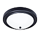 Потолочный светильник Arte Lamp James A4049PL-3BK