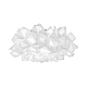 Потолочный светильник Loft IT Clizia 10595/530C White