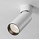 Потолочный светильник Maytoni Technical C055CL-L12W3K-SS-W