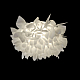 Потолочный светильник Loft IT Clizia 10594/530C White