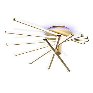 Потолочный светильник Ambrella Light Comfort LineTech FL6244