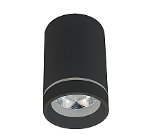 Потолочный светильник Aployt Edda APL.0053.19.10