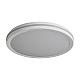 Потолочный светильник Freya Руа / Rua FR6160CL-L40W
