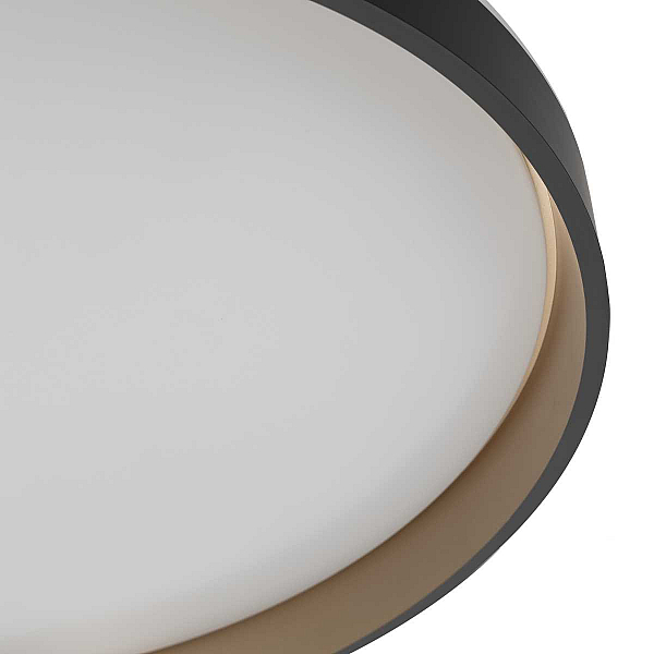 Потолочный светильник Citilux CL753511G