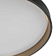 Потолочный светильник Citilux CL753511G