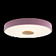 Потолочный светодиодный светильник Loft IT Axel 10003/24 pink