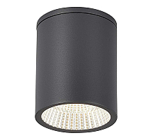 Уличный потолочный светильник ST Luce Tubo SL9514.712.01