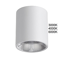 Потолочный светильник Odeon Light Hightech Brim 7139/12CL