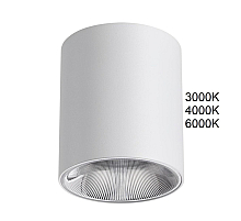 Потолочный светильник Odeon Light Hightech Brim 7139/12CL