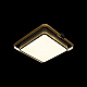 Потолочный светодиодный светильник Loft It Mike 10171