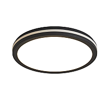 Потолочный светильник Freya Rua FR6160CL-L40B
