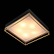 Потолочный светильник ST Luce Chodo SL1127.422.05