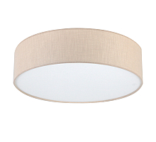 Потолочный светильник LightHall Turdan 50 LH022032