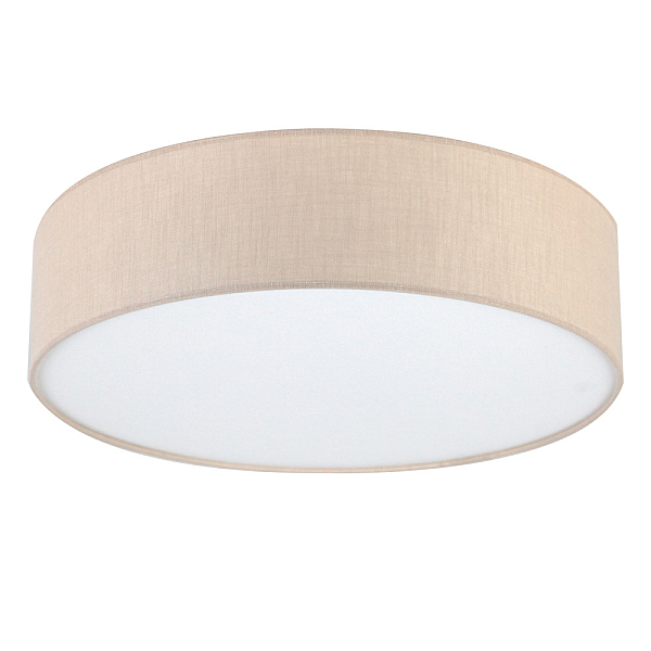 Потолочный светильник LightHall Turdan 50 LH022032