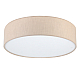 Потолочный светильник LightHall Turdan 50 LH022032