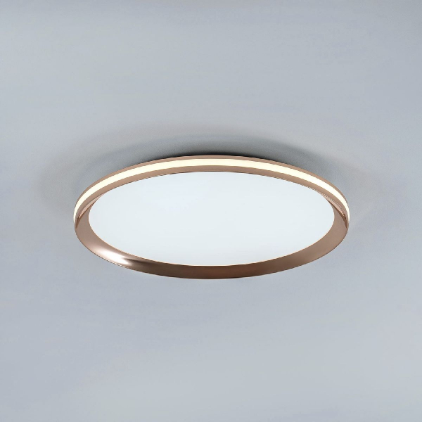 Потолочный светильник LED4U L3020-400 GD Потолочный светильник LED4U L3020-400 GD
