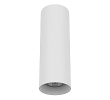 Потолочный светильник Lightstar Rullo 216496