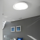 Потолочный светильник ImperiumLoft Shell 102036-26