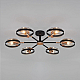 Потолочный светильник Eurosvet Gallo 70121/6 черный Smart a052341